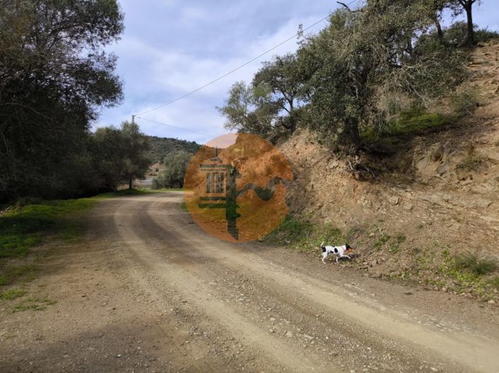 Image No.7-Terrain à vendre à Castro Marim