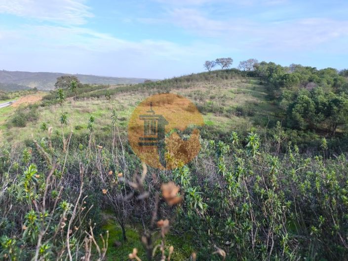 Image No.12-Plot for sale