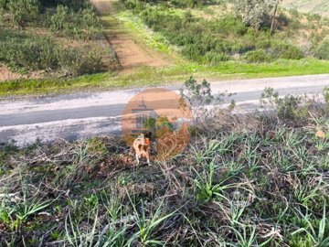 id5f4fbd01-0000-0500-0000-00001871d5d5