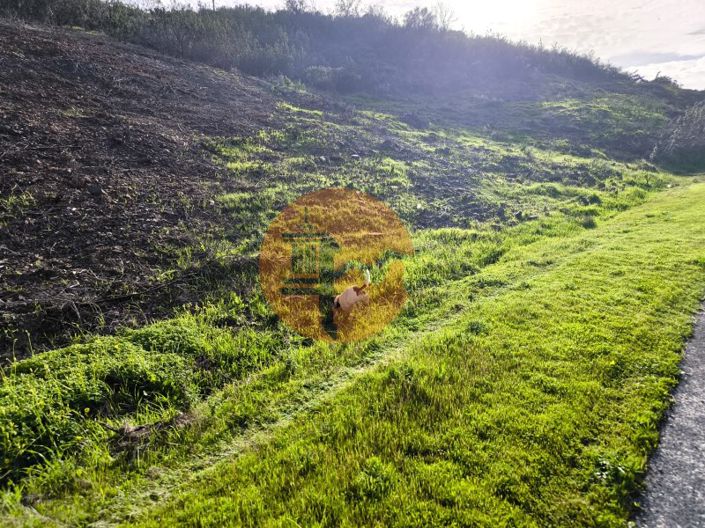 Image No.16-Plot for sale