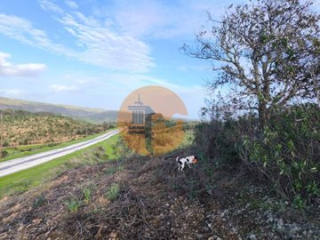 id5f4fbd01-0000-0500-0000-00001871d5bd