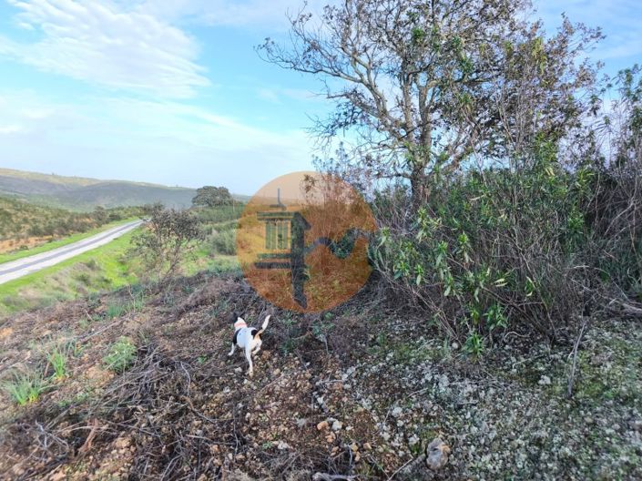 Image No.4-Plot for sale