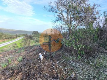 id5f4fbd01-0000-0500-0000-00001871d5c0