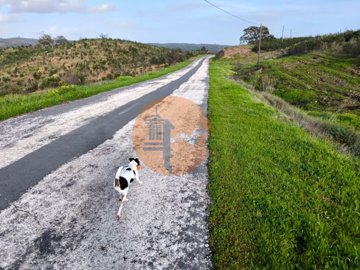 id5f4fbd01-0000-0500-0000-00001871d5c4