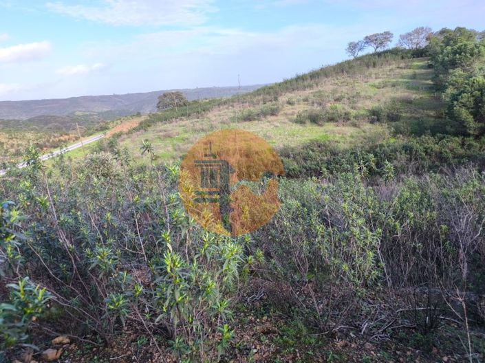 Image No.9-Plot for sale