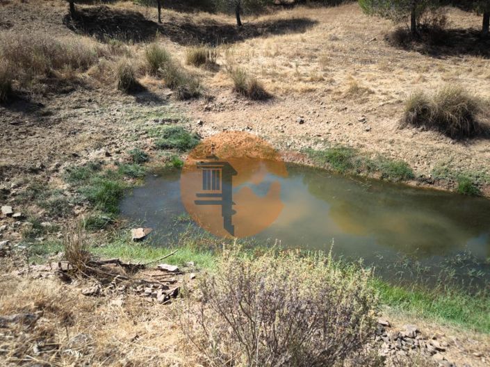 Image No.10-Commercial for sale