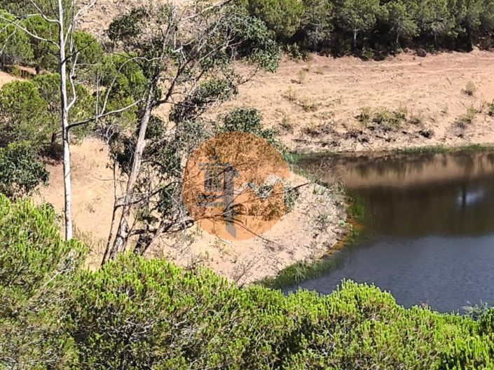 Image No.11-Commercial for sale