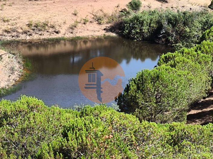 Image No.13-Commercial for sale