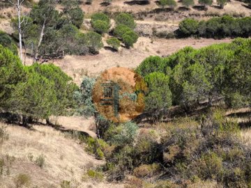 id73d8c001-0000-0500-0000-000018793ca4