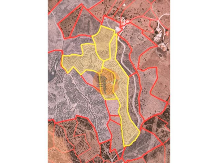 Image No.2-Commercial for sale