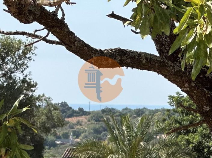 Image No.3-Plot for sale