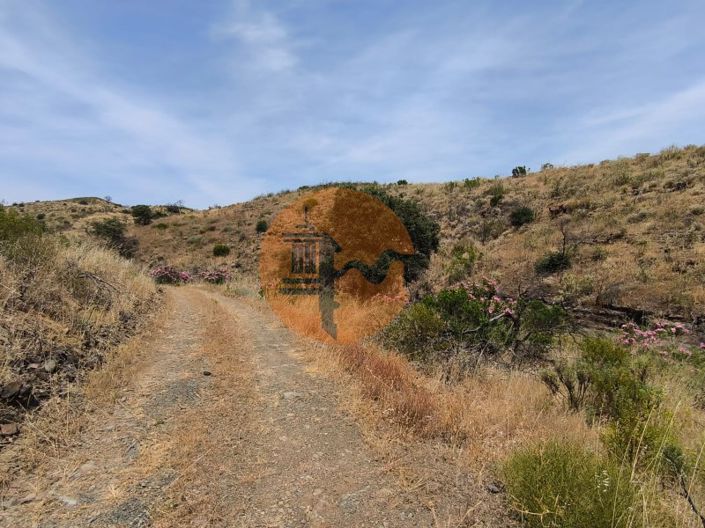 Image No.11-Plot for sale