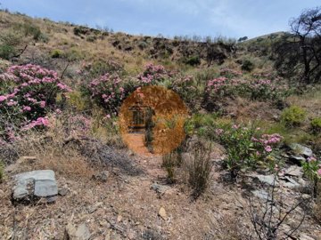 iddf408601-0000-0500-0000-0000164fb5be