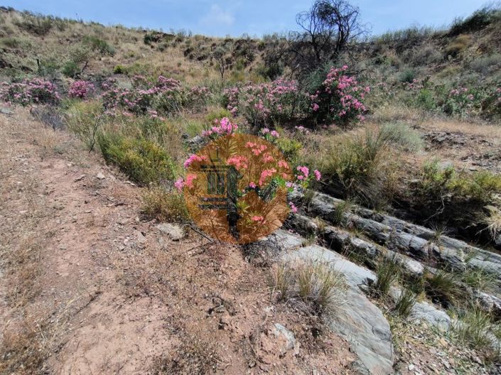 Image No.15-Terrain à vendre à Vila Real de Santo António