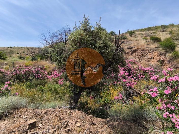 Image No.21-Terrain à vendre à Vila Real de Santo António