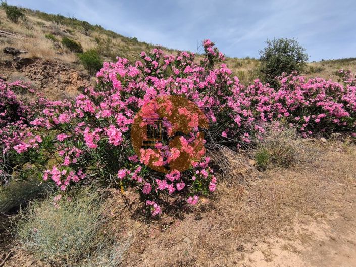 Image No.22-Plot for sale