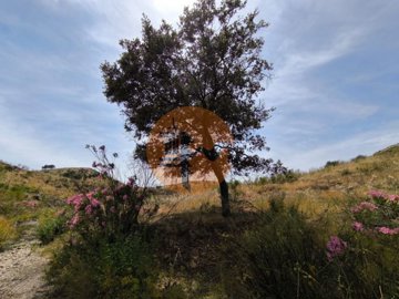 iddf408601-0000-0500-0000-0000164fb5a2