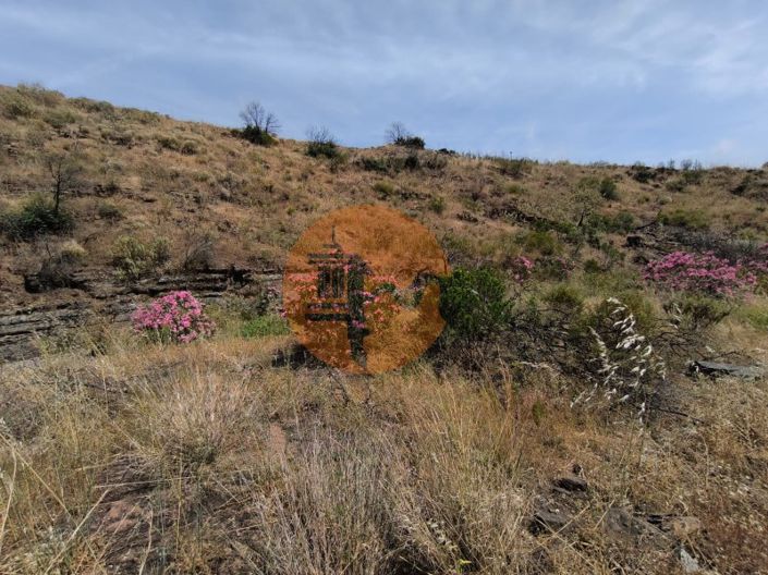 Image No.4-Plot for sale