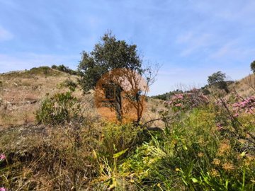 iddf408601-0000-0500-0000-0000164fb5a5