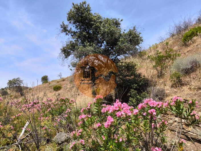 Image No.7-Plot for sale