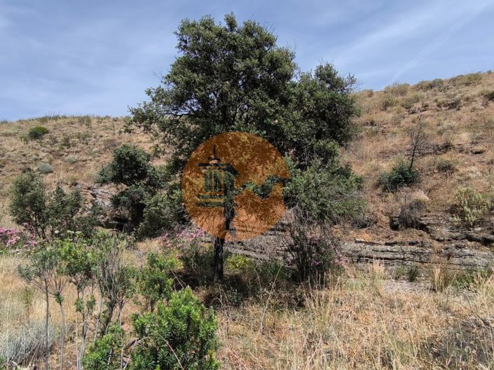 Image No.9-Plot for sale