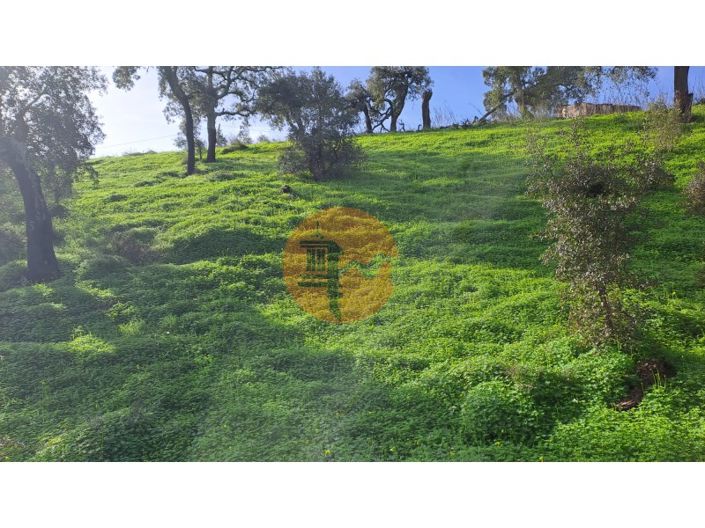 Image No.13-Plot for sale