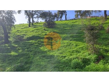 idc871be01-0000-0500-0000-000018a8d964