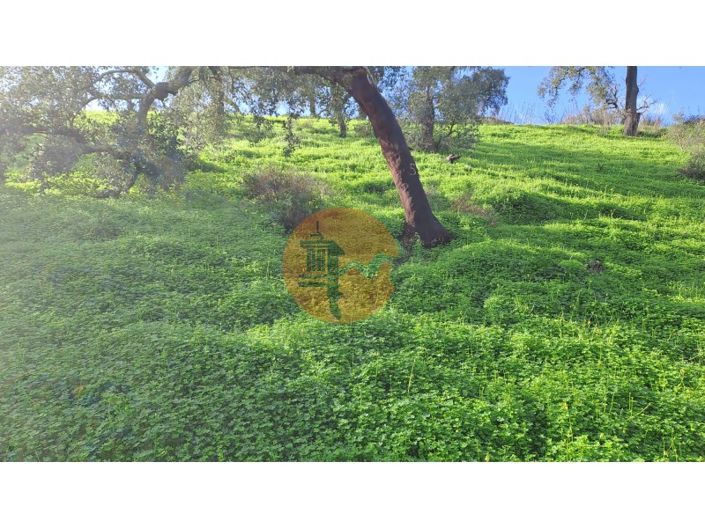 Image No.14-Plot for sale