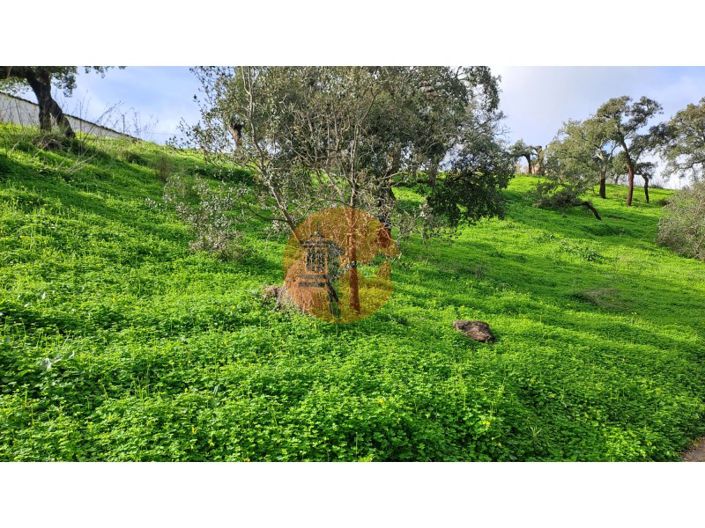 Image No.2-Plot for sale