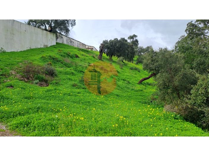 Image No.3-Plot for sale