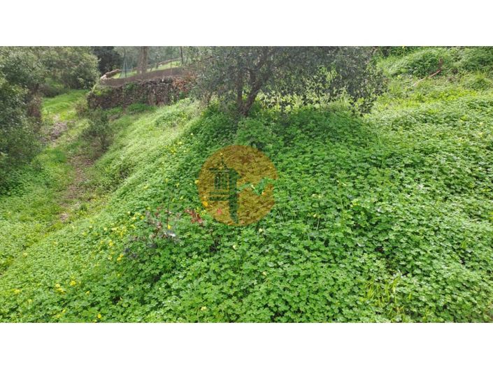 Image No.4-Plot for sale