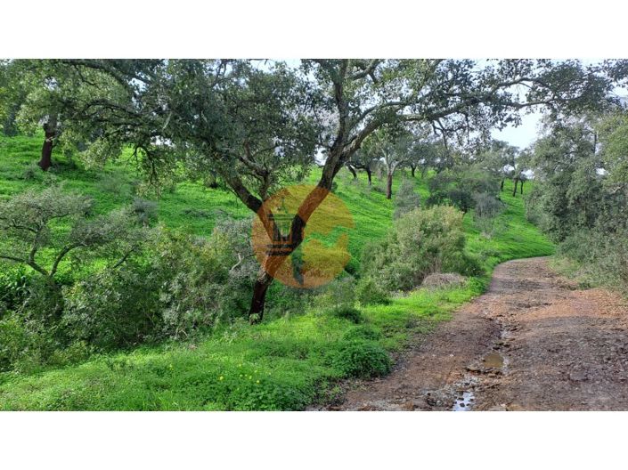 Image No.5-Plot for sale