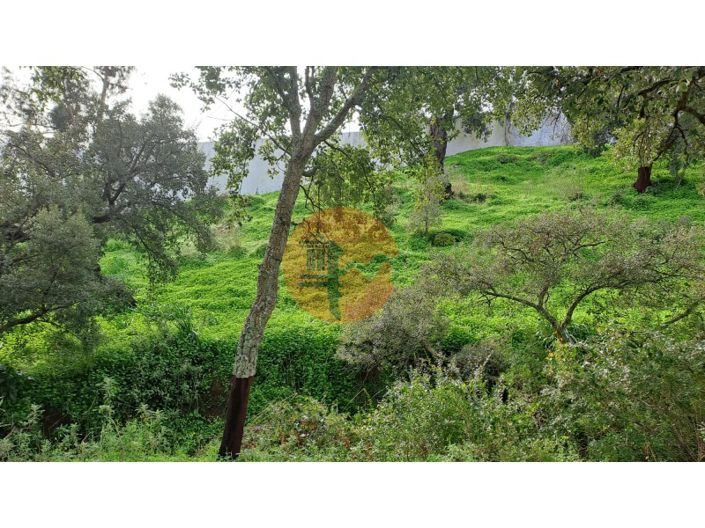 Image No.7-Plot for sale