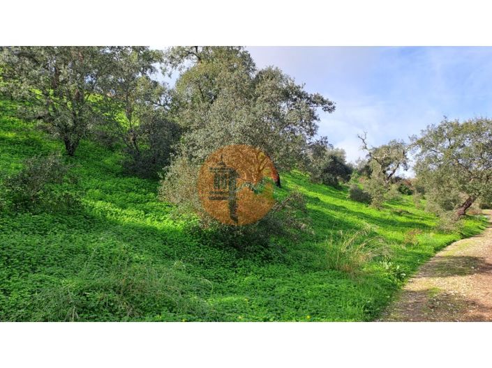 Image No.9-Plot for sale