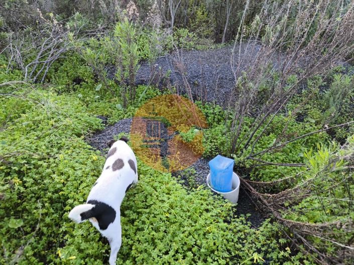 Image No.10-Plot for sale