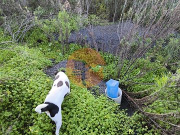 idb768c001-0000-0500-0000-000018bfbf51