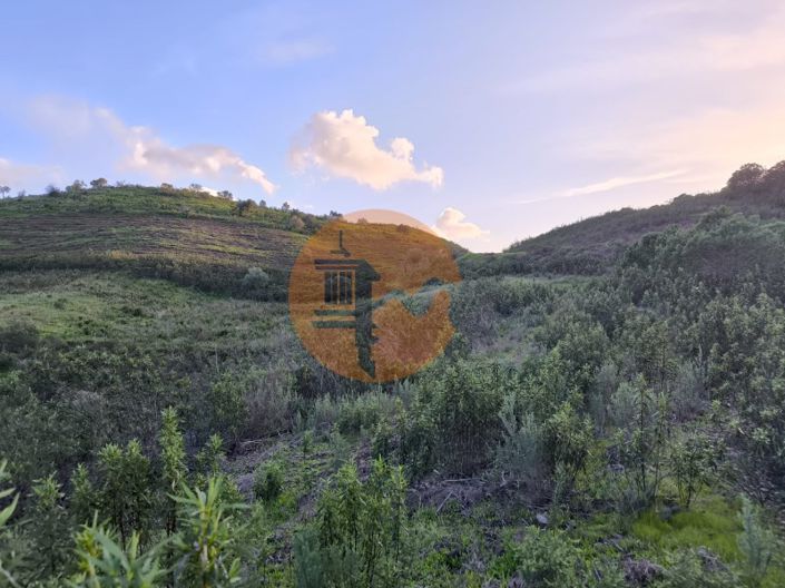 Image No.11-Plot for sale