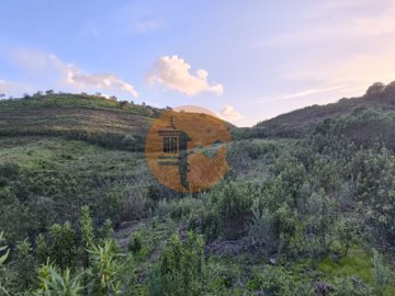 idb768c001-0000-0500-0000-000018a23448