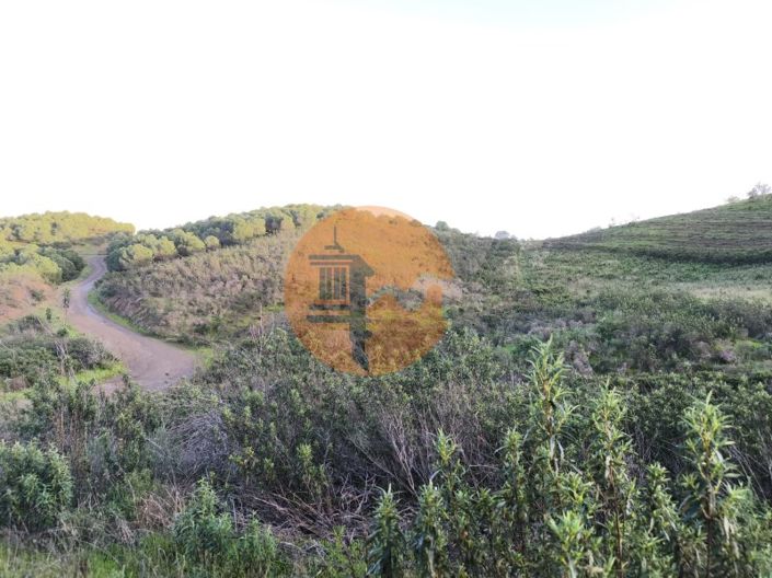 Image No.12-Plot for sale