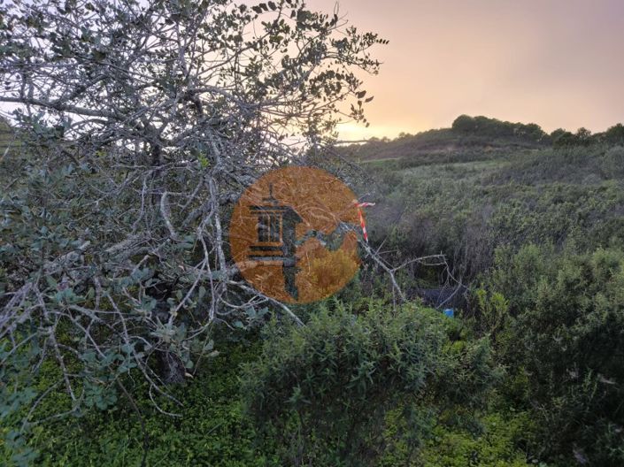 Image No.14-Plot for sale