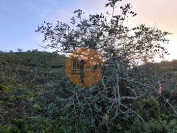 idb768c001-0000-0500-0000-000018a2344b