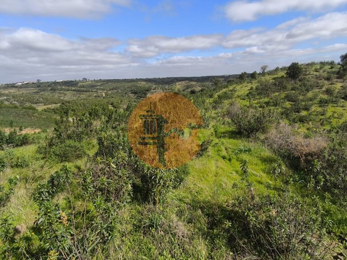 Image No.17-Plot for sale