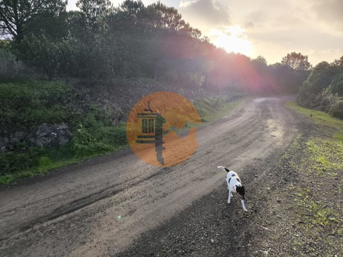 Image No.17-Plot for sale