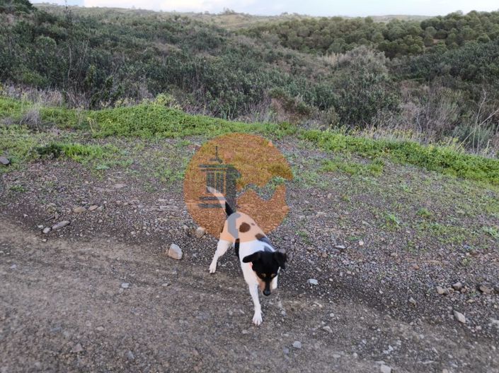 Image No.18-Plot for sale