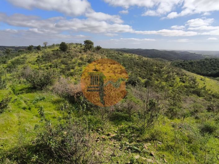 Image No.19-Plot for sale