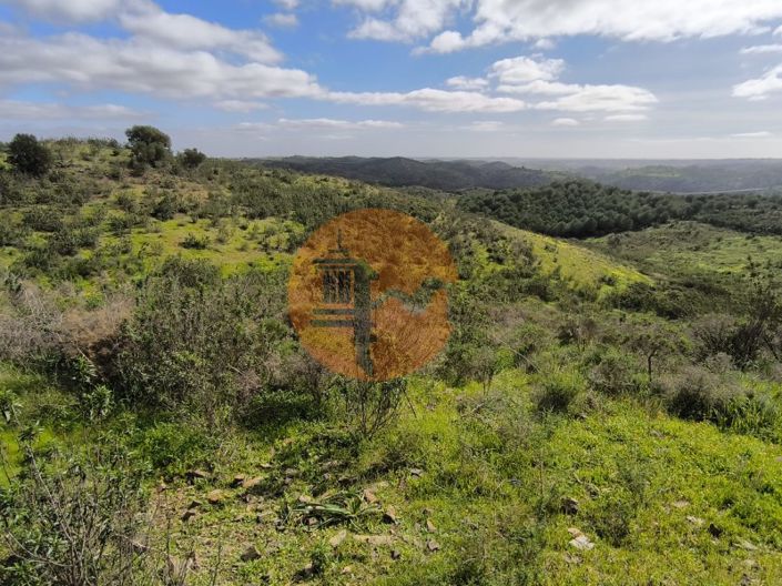 Image No.20-Plot for sale