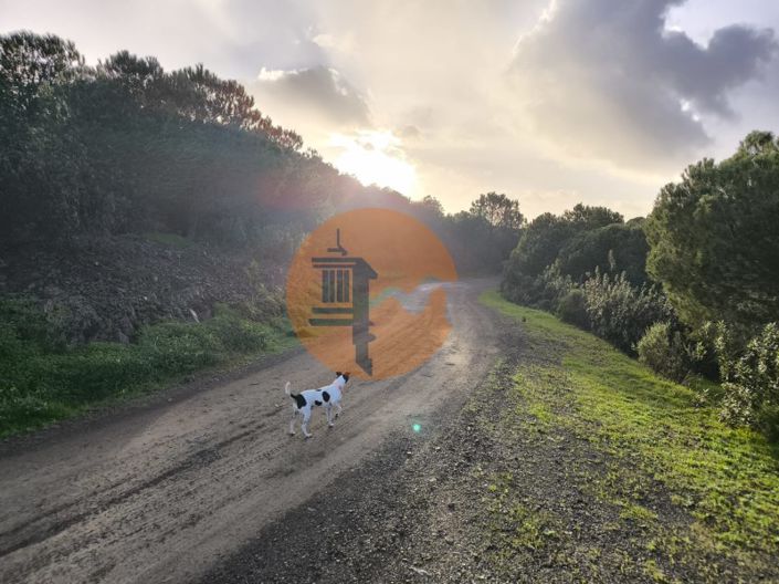 Image No.22-Plot for sale