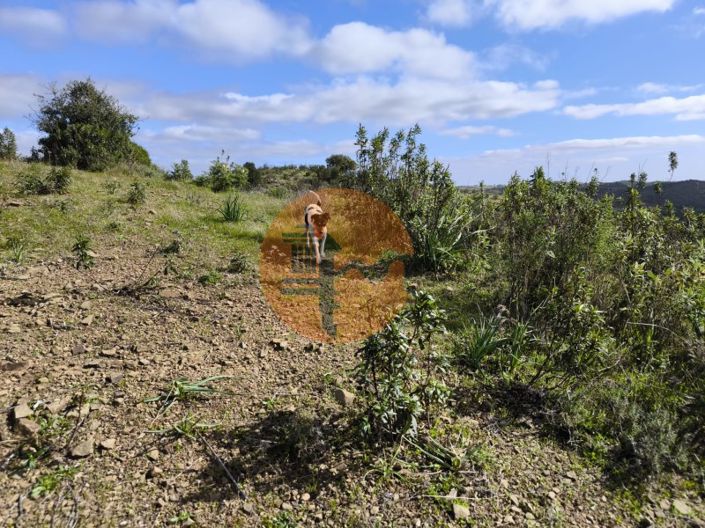 Image No.27-Plot for sale