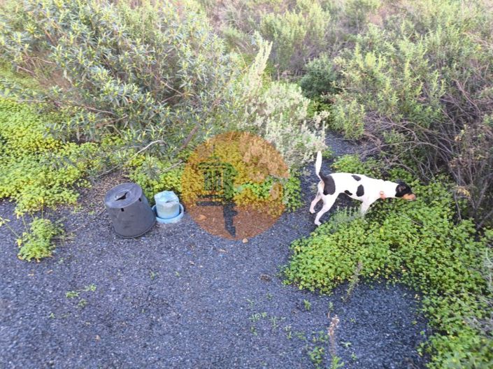 Image No.28-Plot for sale