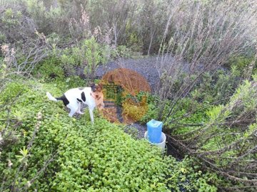 idb768c001-0000-0500-0000-000018bfbf4c